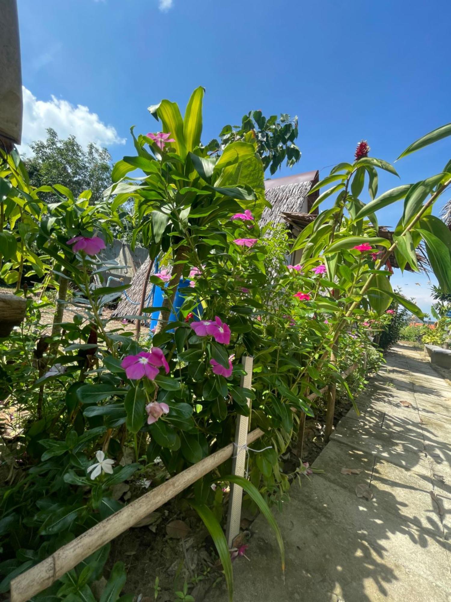 ホテル Phuketairportcamping Ban Bo Sai Klang エクステリア 写真